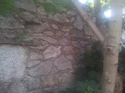 castlepark gate - 10315.jpg